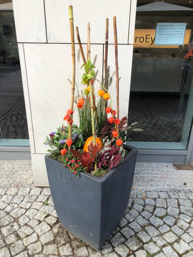 Blumen Abo und Servicelesitungen BlumenTräume Dresden